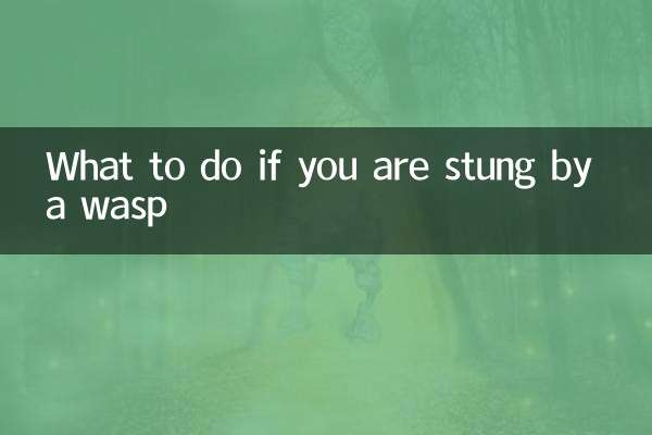 말벌에 쏘인 경우 대처 방법