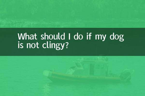 Cosa devo fare se il mio cane non è appiccicoso?