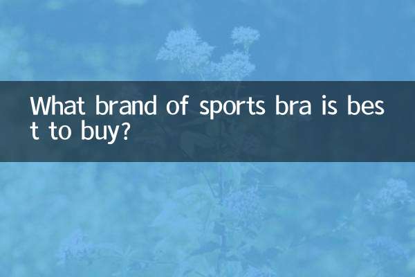 ¿Qué marca de sujetador deportivo es mejor comprar?