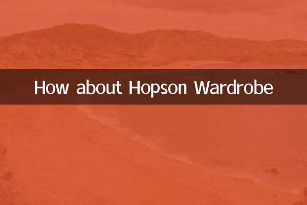 ホプソンワードローブはいかがですか？