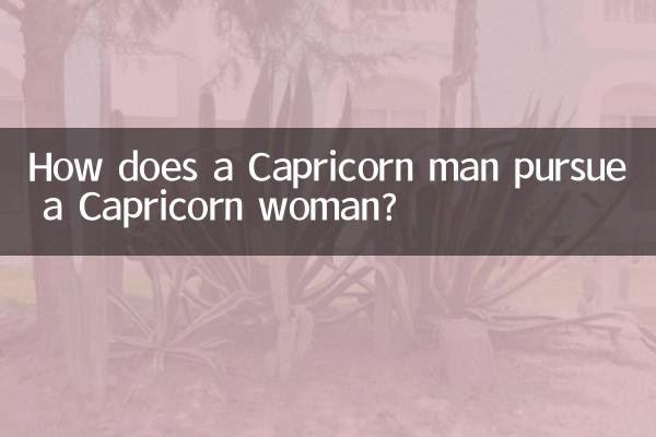 摩羯男怎麼追摩羯女