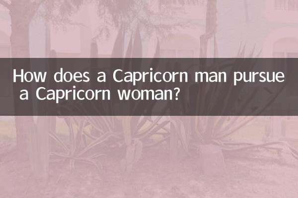 Wie verfolgt ein Steinbock-Mann eine Steinbock-Frau?