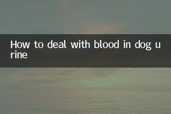 কুকুরের প্রস্রাবে রক্তের সাথে কীভাবে মোকাবিলা করবেন