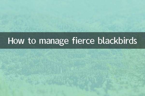 사나운 검은새를 관리하는 방법