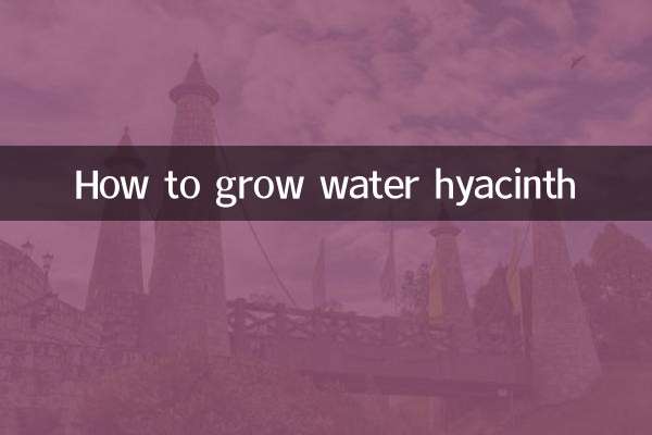 Como cultivar aguapé