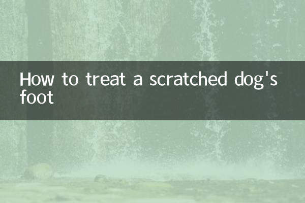 كيفية علاج قدم الكلب المخدوشة