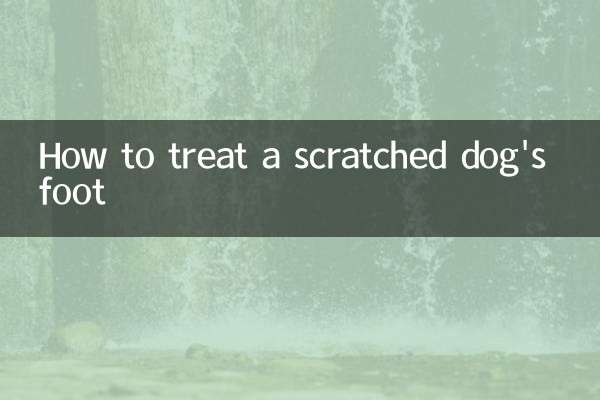 कुत्ते के पैर में खरोंच का इलाज कैसे करें