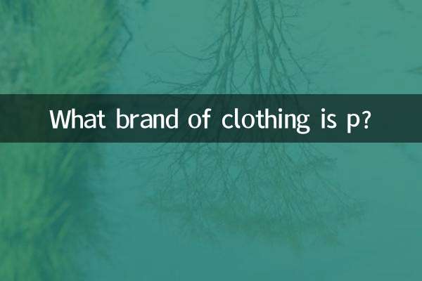 কোন ব্র্যান্ডের পোশাক পি?