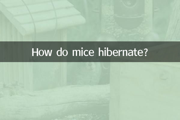 How do mice hibernate?