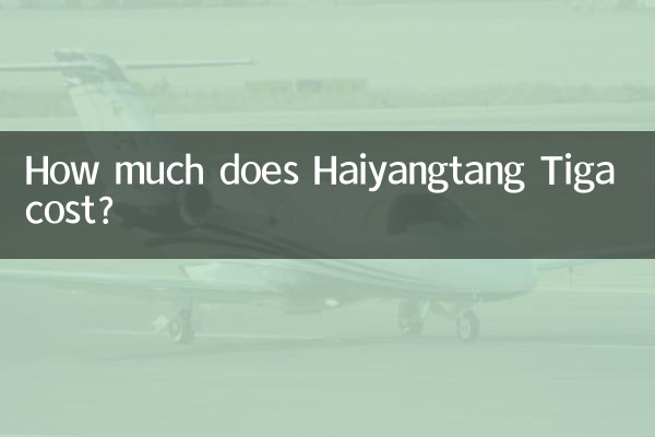 하이양탕 티가 가격은 얼마인가요?