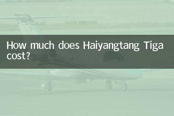 하이양탕 티가 가격은 얼마인가요?