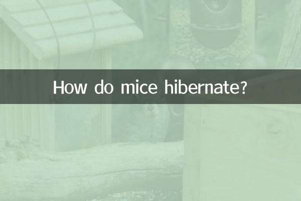 How do mice hibernate?