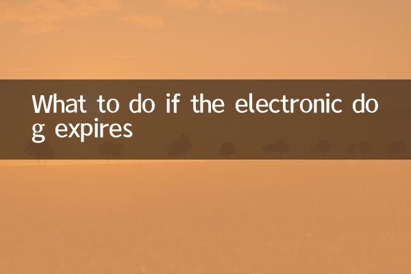 电子狗过期怎么办