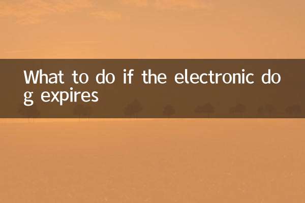Que faire si le chien électronique expire