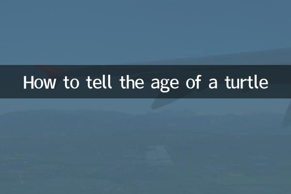 怎么判断乌龟年龄
