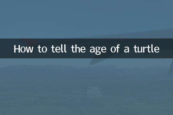 Como saber a idade de uma tartaruga