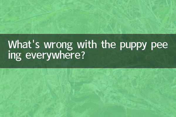 What's wrong with the puppy peeing everywhere?