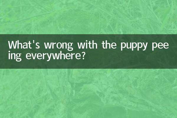 What's wrong with the puppy peeing everywhere?