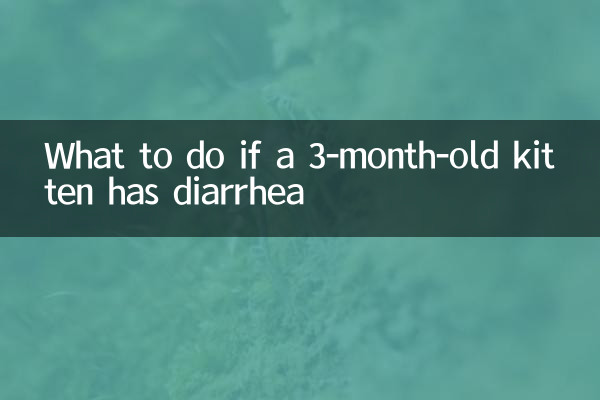 What to do if a 3-month-old kitten has diarrhea