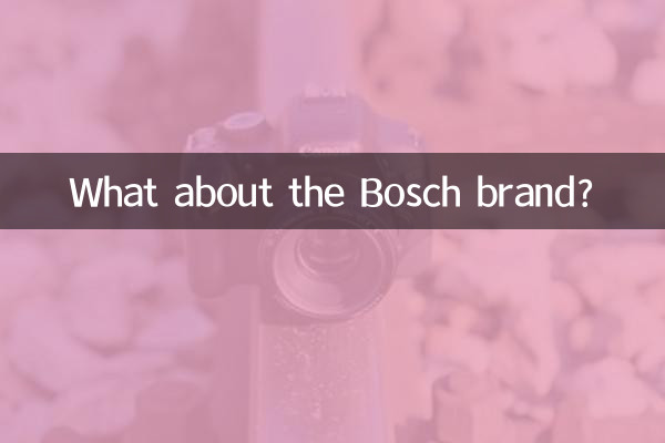 Bosch ব্র্যান্ড সম্পর্কে কি?