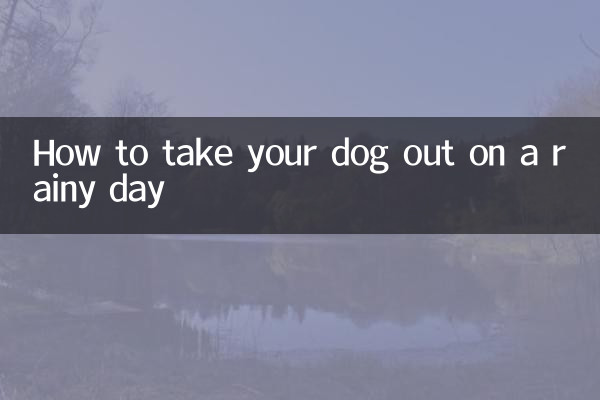 बरसात के दिन अपने कुत्ते को बाहर कैसे ले जाएं