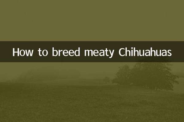 میٹھی چیہواوس کو نسل دینے کا طریقہ