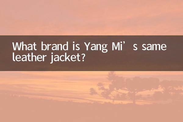 Qual marca é a mesma jaqueta de couro de Yang Mi?