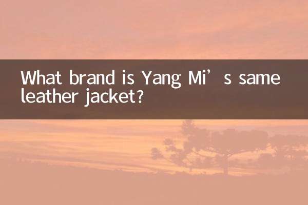 Qual marca é a mesma jaqueta de couro de Yang Mi?