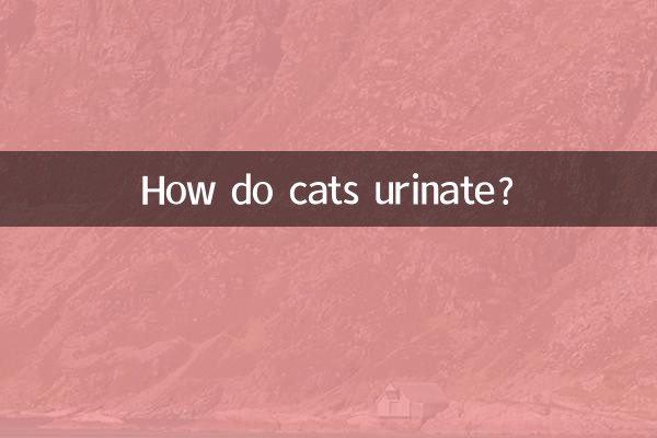Como os gatos urinam?