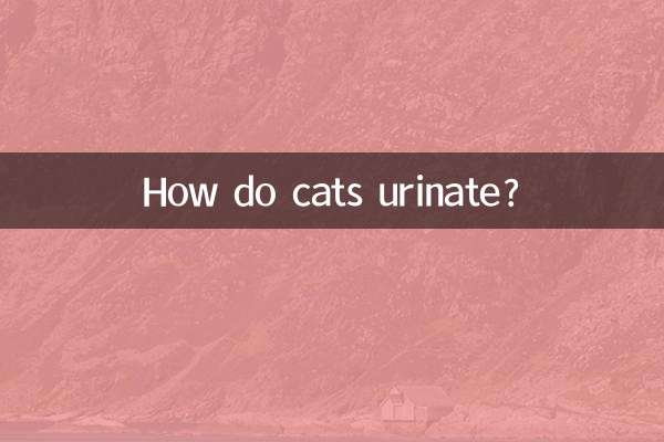 Como os gatos urinam?