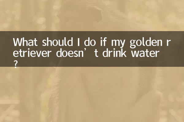 ماذا علي أن أفعل إذا كان كلبي الذهبي لا يشرب الماء؟