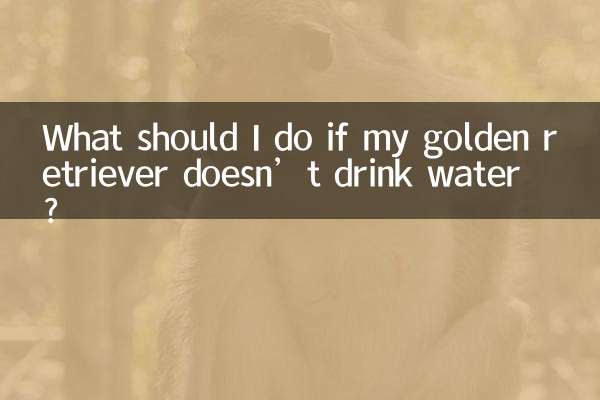 ماذا علي أن أفعل إذا كان كلبي الذهبي لا يشرب الماء؟