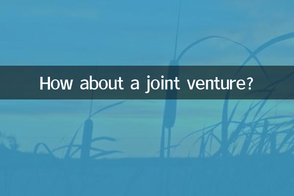 Как насчет совместного предприятия?