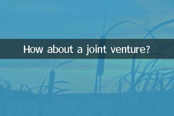 संयुक्त उद्यम के बारे में क्या ख्याल है?