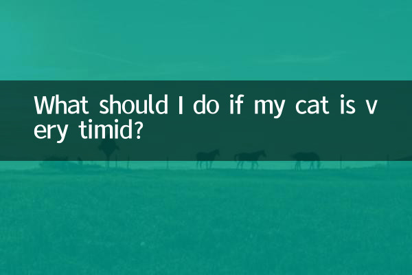 貓咪膽子特別小怎麼辦
