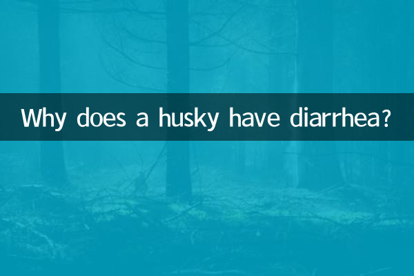 Perché un husky ha la diarrea?