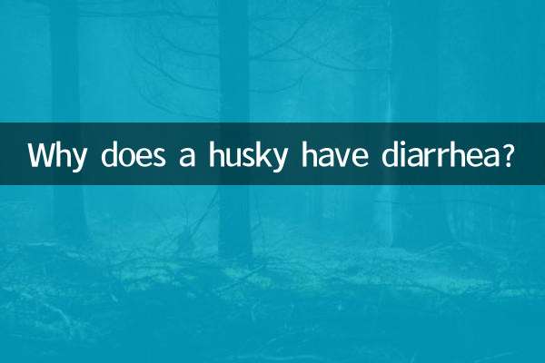 哈士奇怎麼拉稀