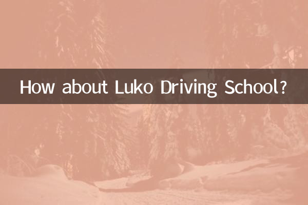 ¿Qué tal la escuela de conducción Luko?