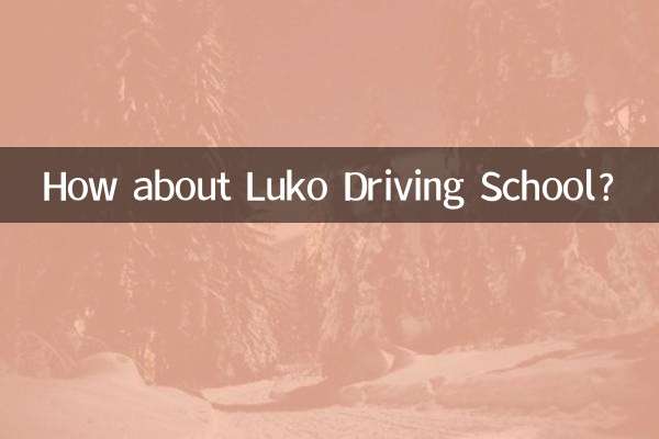 লুকো ড্রাইভিং স্কুল সম্পর্কে কেমন?