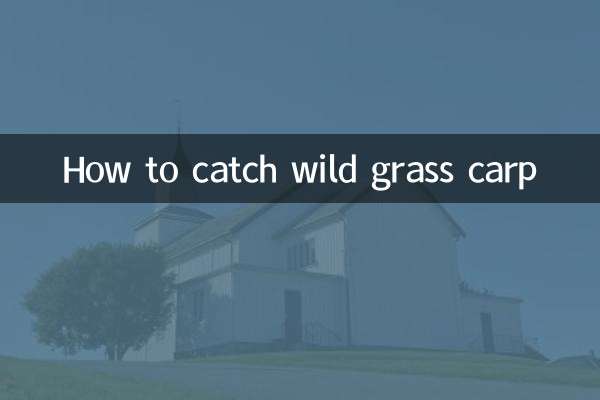 जंगली घास कार्प कैसे पकड़ें