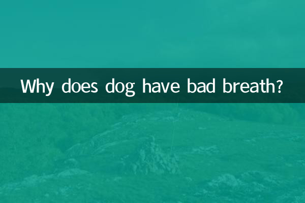狗口臭是怎么回事