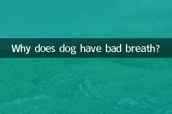 狗口臭是怎么回事