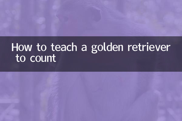 Come insegnare a contare a un Golden Retriever
