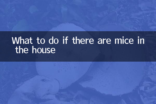 Что делать, если в доме появились мыши