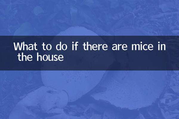 अगर घर में चूहे हों तो क्या करें?