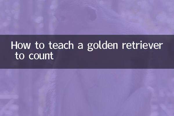 怎麼教金毛數數