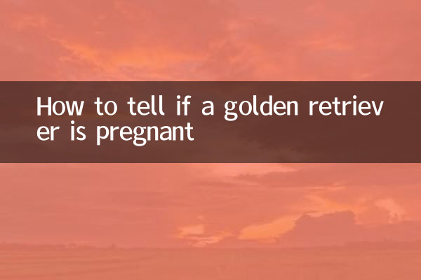 كيفية معرفة ما إذا كانت كلبة جولدن ريتريفر حامل