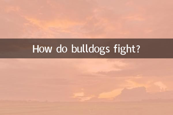 بولداگ ها چگونه می جنگند؟