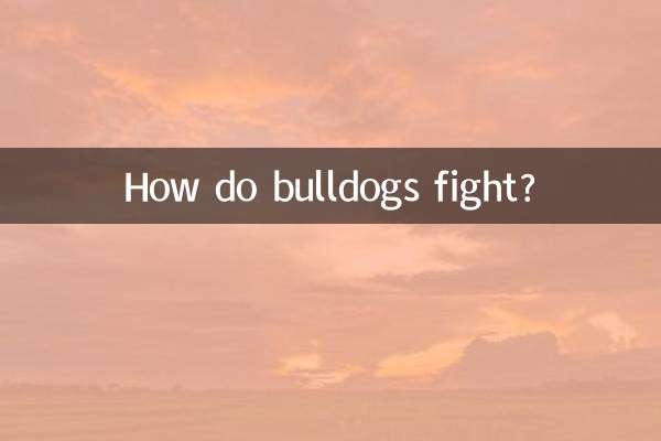 بولداگ ها چگونه می جنگند؟
