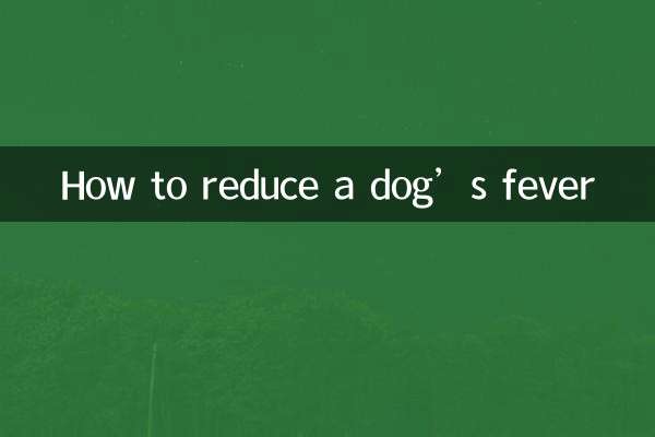So senken Sie das Fieber eines Hundes